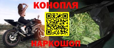 каннабис Новозыбков