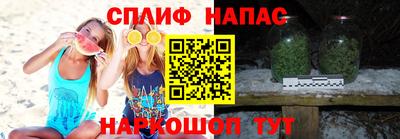 PSILOCYBIN Новодвинск